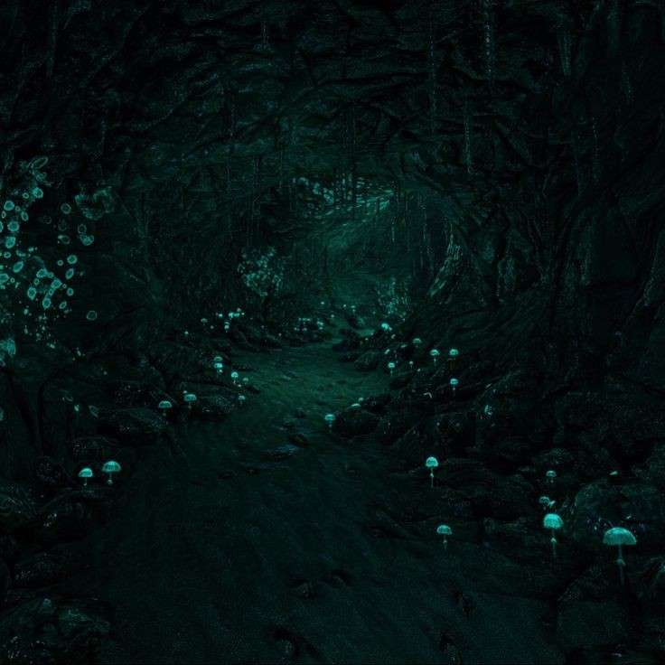 biolume everywhere